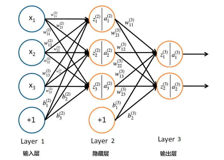 Network Structure