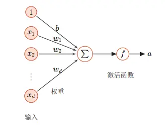 Neuron structure