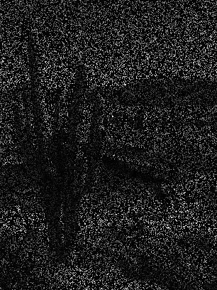 NR=0.8_原图