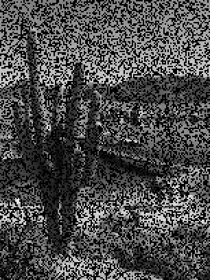 SS=2