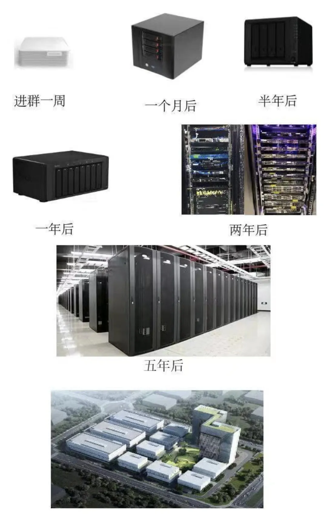 10016