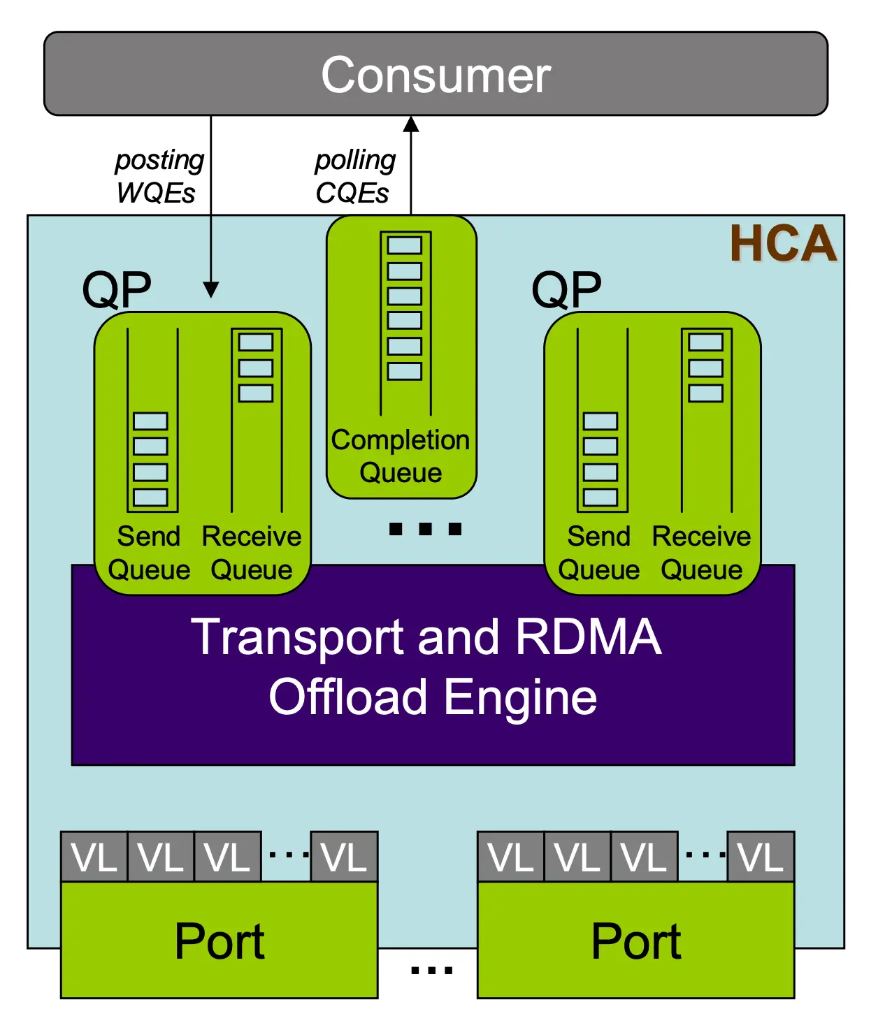 高性能网络- ZJUSCT